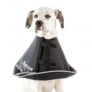 Halskrausen Für Hunde All Four Paws „The Comfy C Produktbild-Vorschau 13